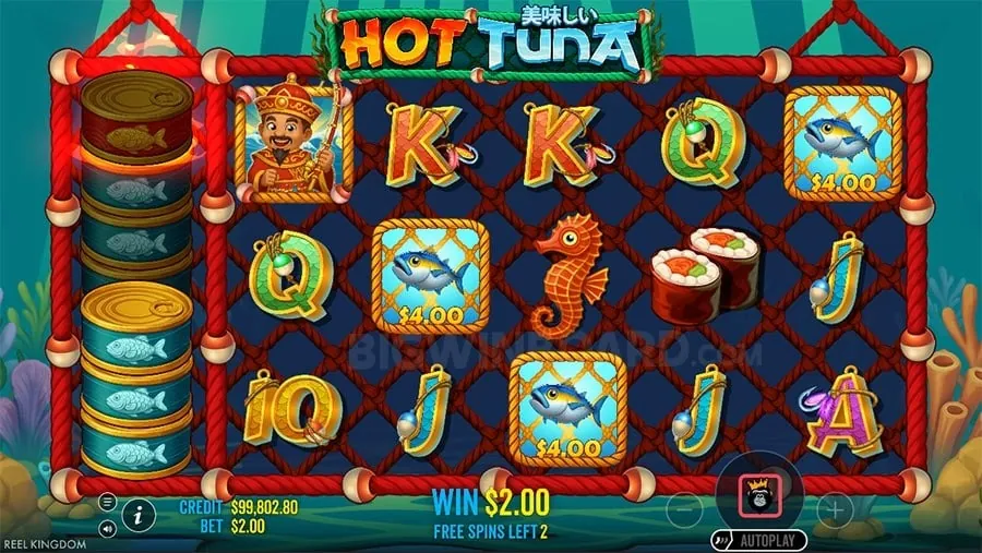 fc Online Gambling Safety Tips
